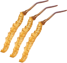 paper-clip